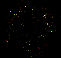Chandra Deep Field South