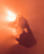 Comet Halley's Nucleus from Giotto