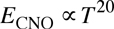 E_CNO is prop to T^20