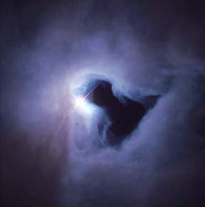 Another Dark Nebula, but also Reflection