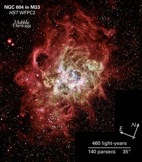 Star-Forming Region in Spiral Galaxy - NGC 604 in M33