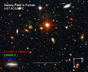 Galaxy Field in Fornax