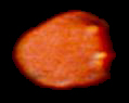 Amalthea