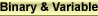 Binary & Variable