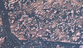 Mars Exploration Rover (MER) Opportunity - Two Types of Pebblesin Endurance Crater