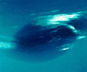 Neptune's Great Dark Spot
