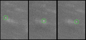 New Neptune Moon S/2002 N1