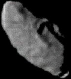 Prometheus
