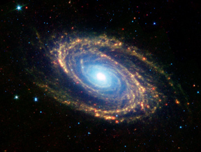 M81 from the Spitzer Space Telescope